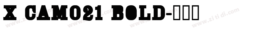 X CAM021 Bold字体转换